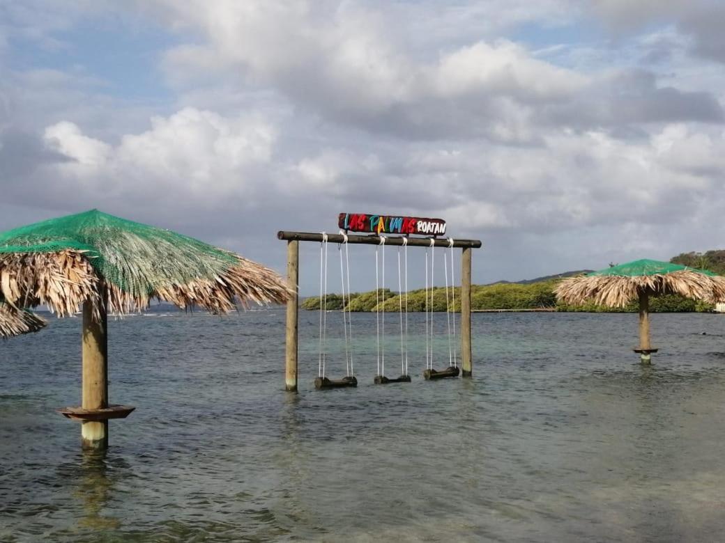 Las Palmas Beach Hotel Dixon Cove Kültér fotó