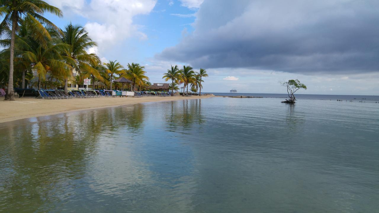 Las Palmas Beach Hotel Dixon Cove Kültér fotó
