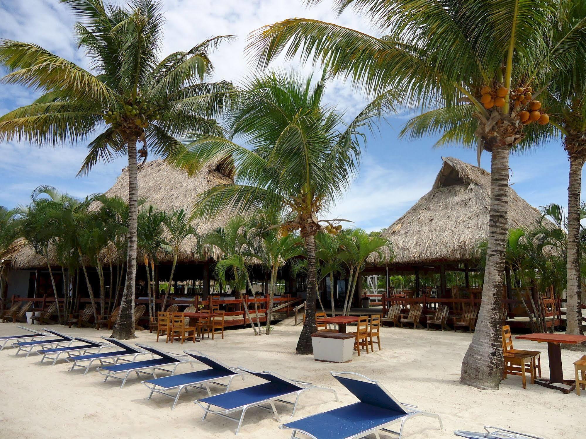 Las Palmas Beach Hotel Dixon Cove Kültér fotó